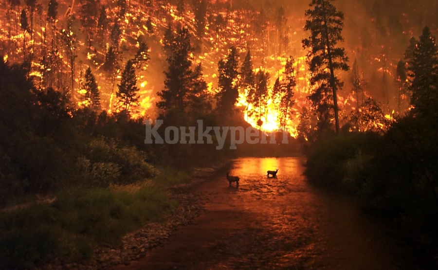 Вижте къде огнеборците се бориха с огнените стихии