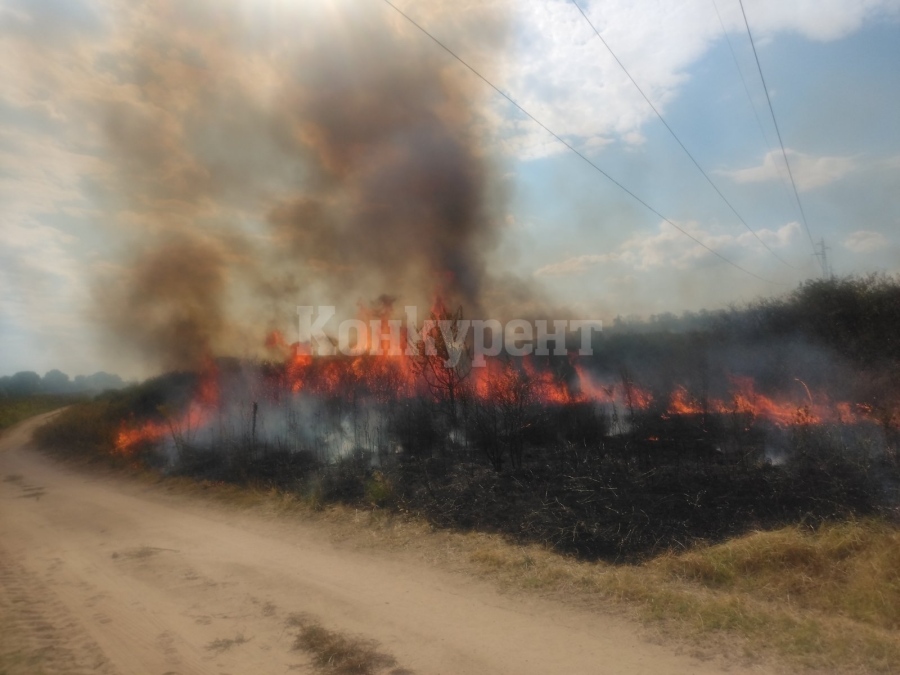 Два дни горски служители гасиха пожар в село Арчар СНИМКИ