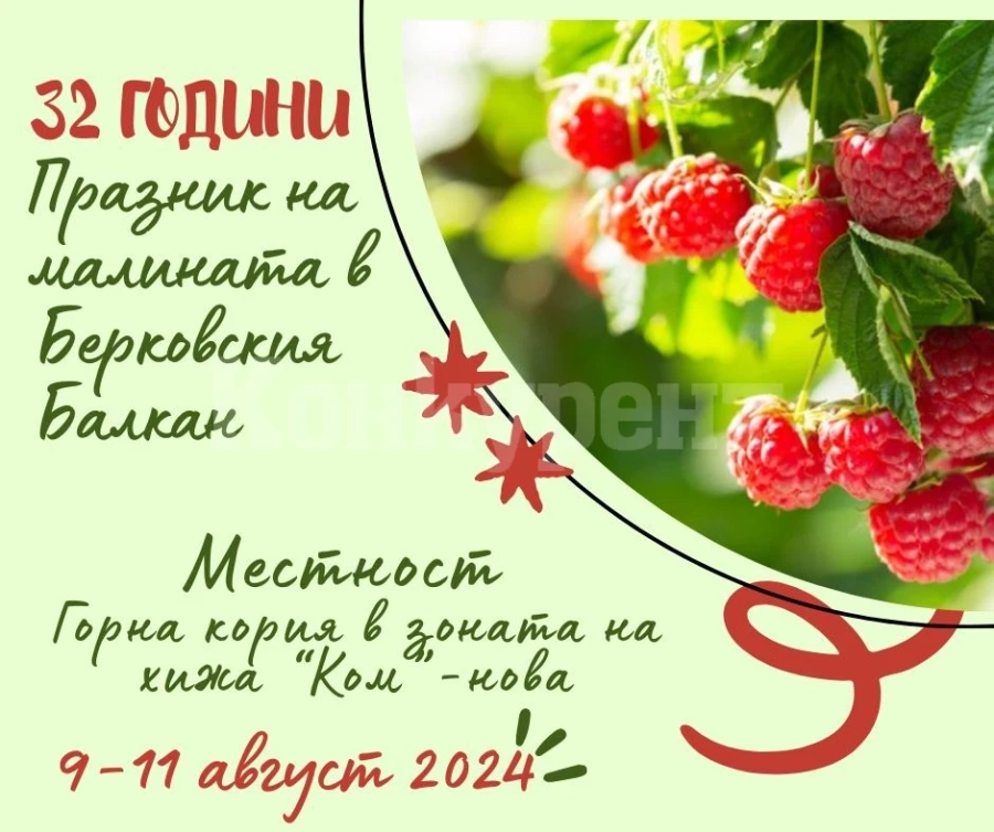 За поредна година община Берковица отбелязва традиционния „Празник на малината“