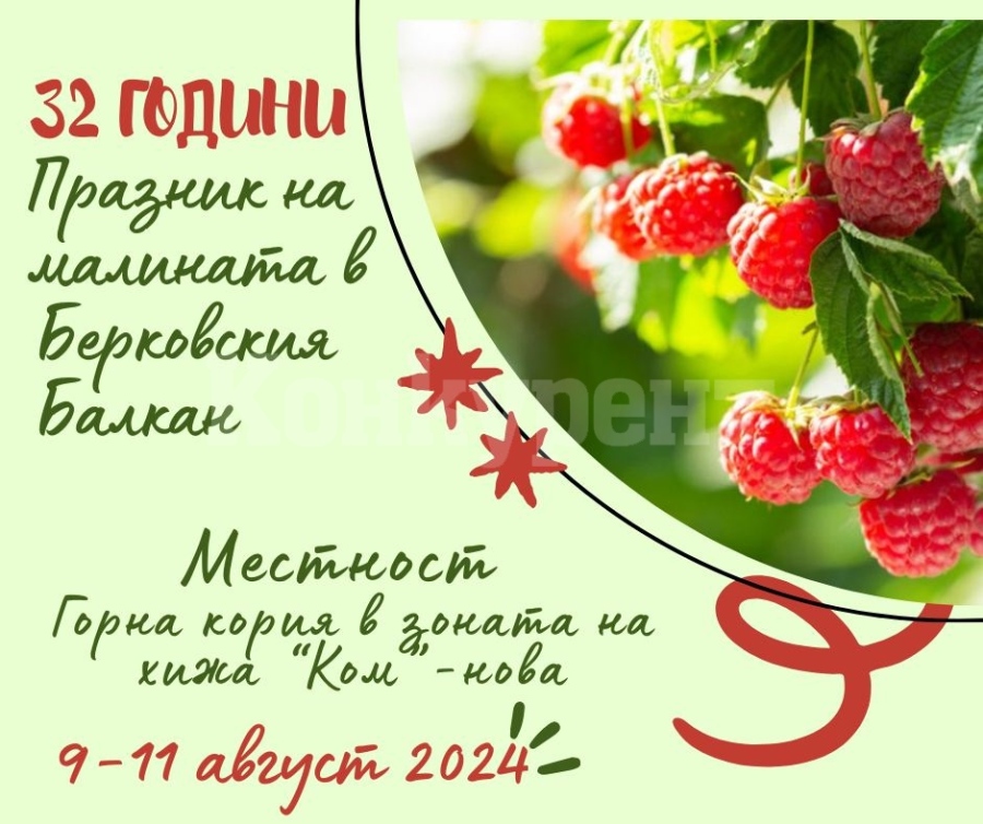 За поредна година община Берковица отбелязва традиционния „Празник на малината“