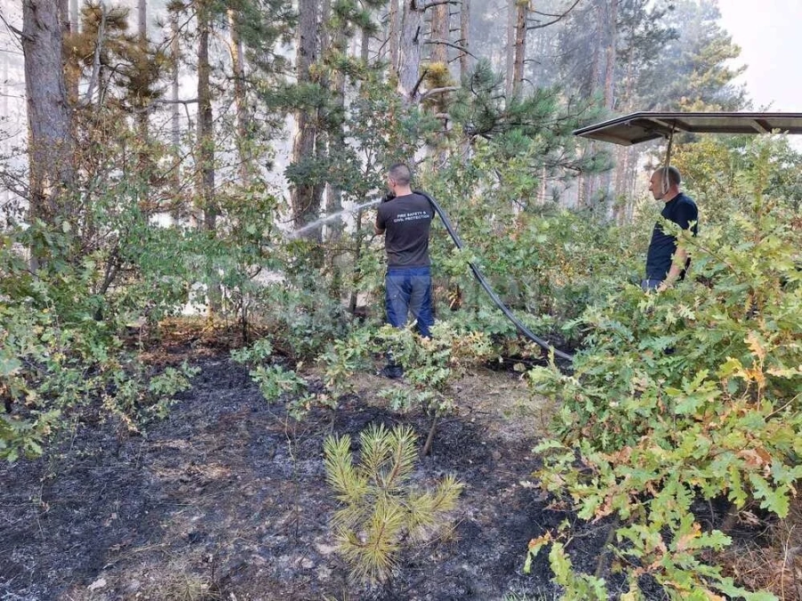 Пожарът в землището на романското село Струпец се е разгорял отново