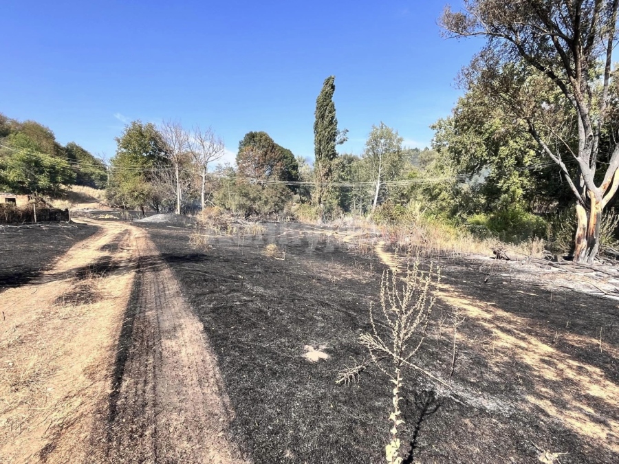 В село Коста Перчево, Община Кула е избухнал сериозен пожар