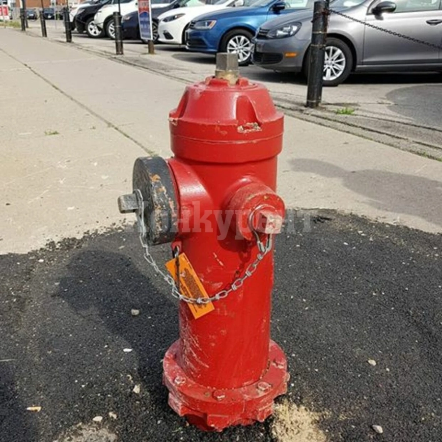В Брусарци поливат градини от хидрантите на пожарната, стотици са без вода