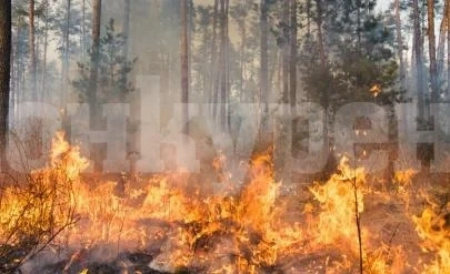 Пожар във Видин взе две жертви