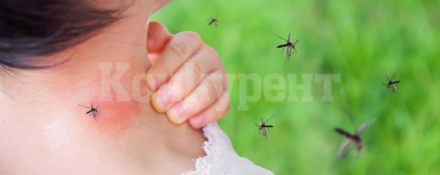 В Гърция предупреждават хората за опасност от зараза със западнонилска треска