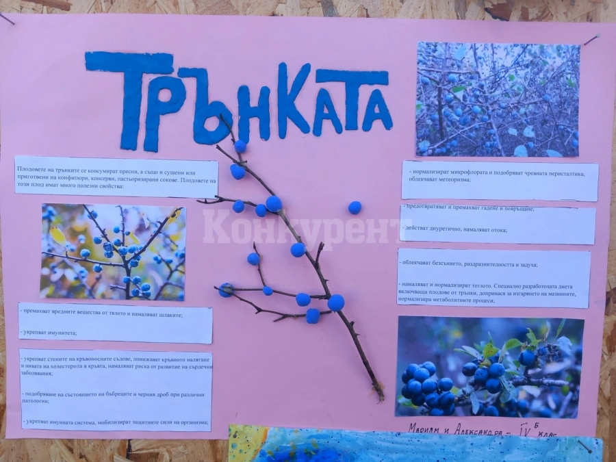 Проведе се Фестивал на трънката в село Салаш