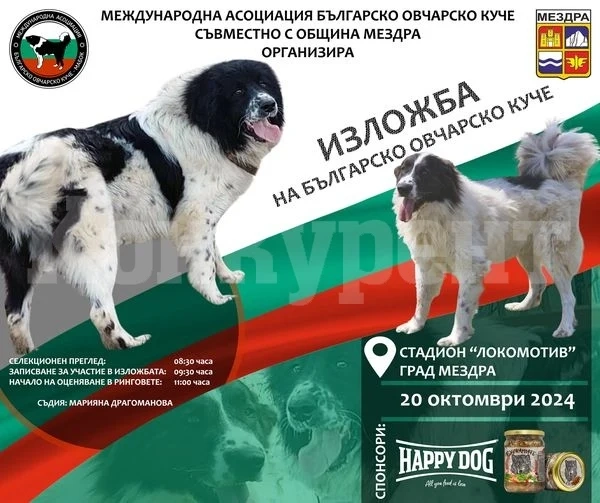 Киноложка изложба на българско овчарско куче ще се проведе в Мездра