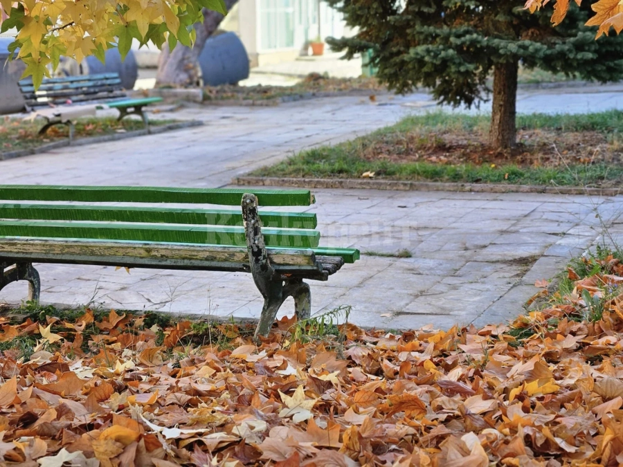 Продължават дейностите по облагородяване на община Берковица