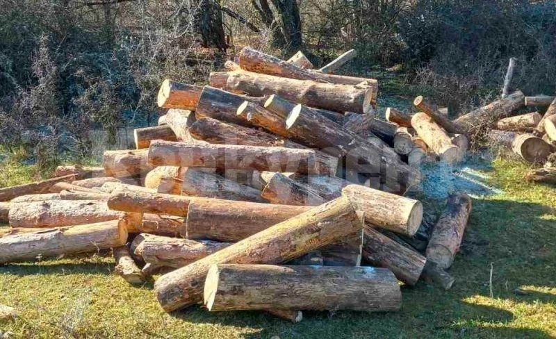 Проява на хулиганство във Видинско