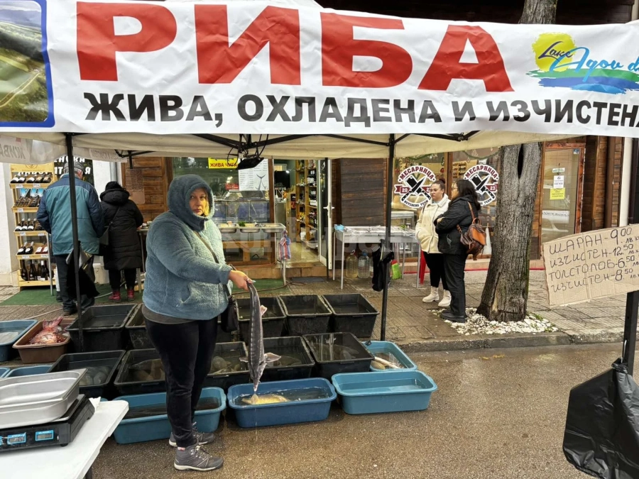 Преди Никулден – проверяват пазарите на риба