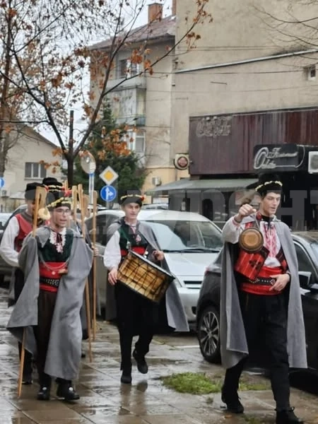 Монтана спазиха традицията, свързана с коледуването