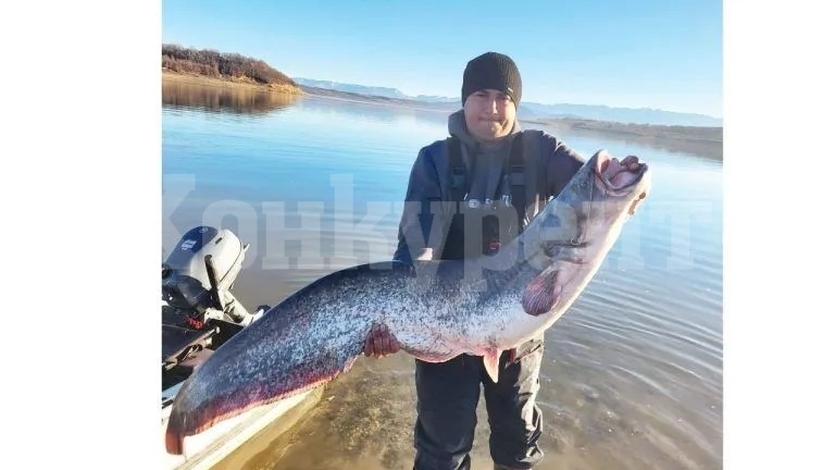 Язовир „Огоста“ даде първи сом за годината