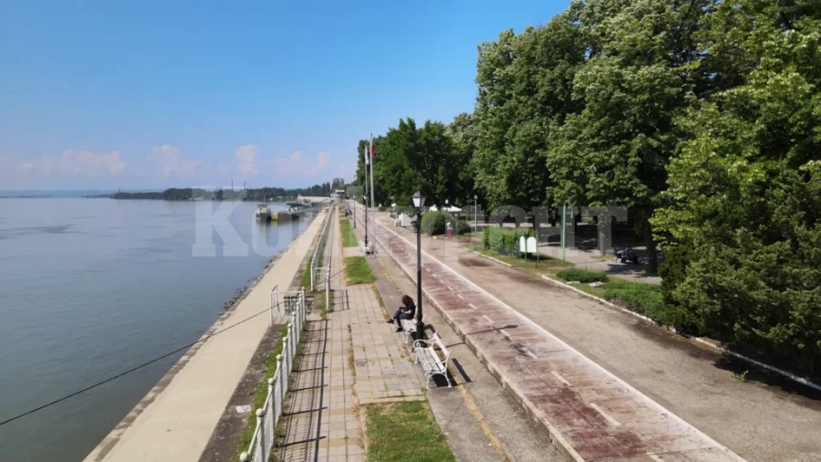 Какви грижи полага Община Видин за дърветата в градската част?