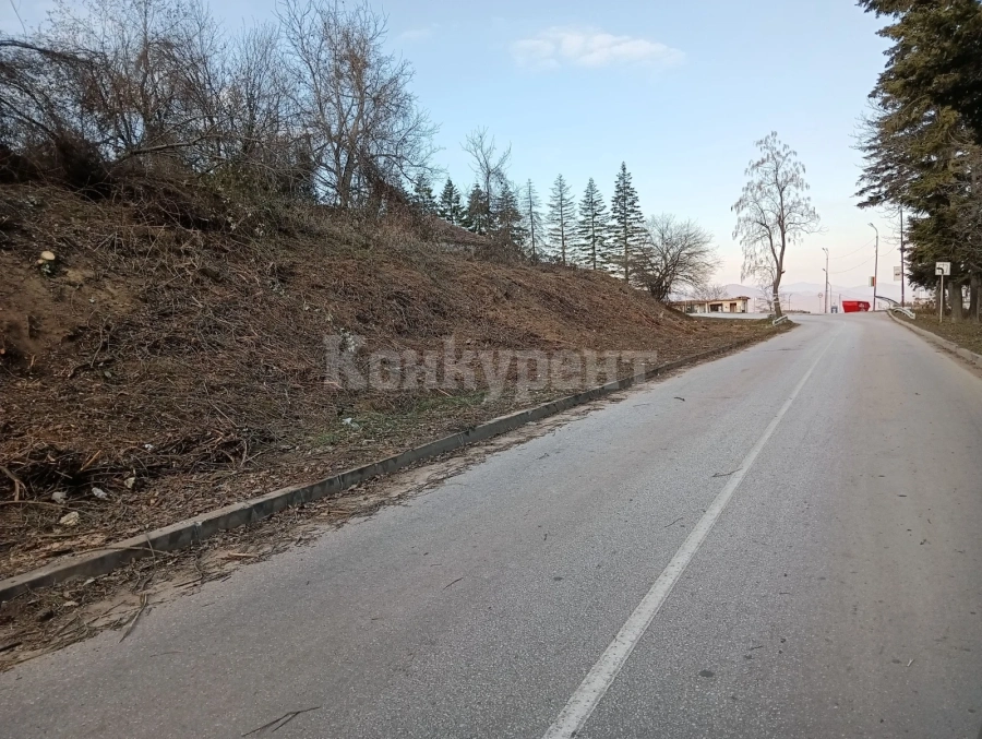Поставят 75 градински пейки в Белоградчик