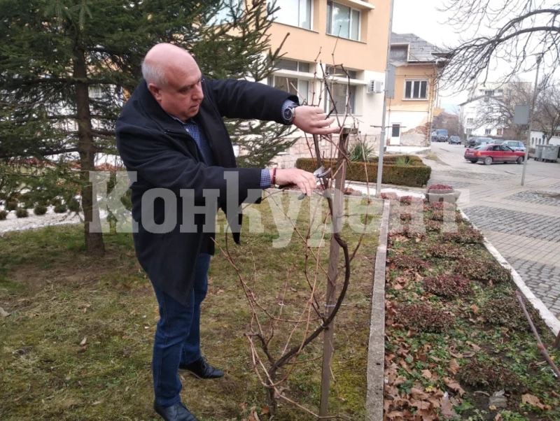 Иван Лазаров – кметът, който прави най-доброто вино в Северозапада