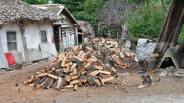Спипаха незаконни дърва в два имота в Монтанско