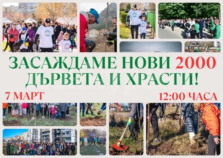 Във Враца ще се засаждат 2000 нови дървета и храсти