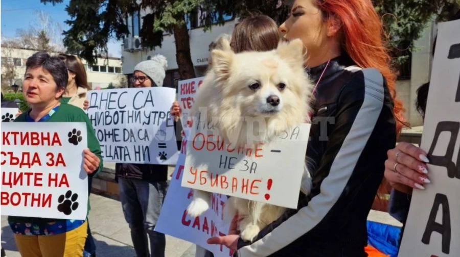 Видинчани протестираха срещу насилието на животни