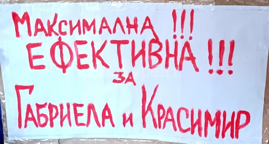 Лом ще протестира срещу насилието на животните