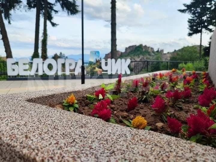 В Белоградчик летят благотворително с балони