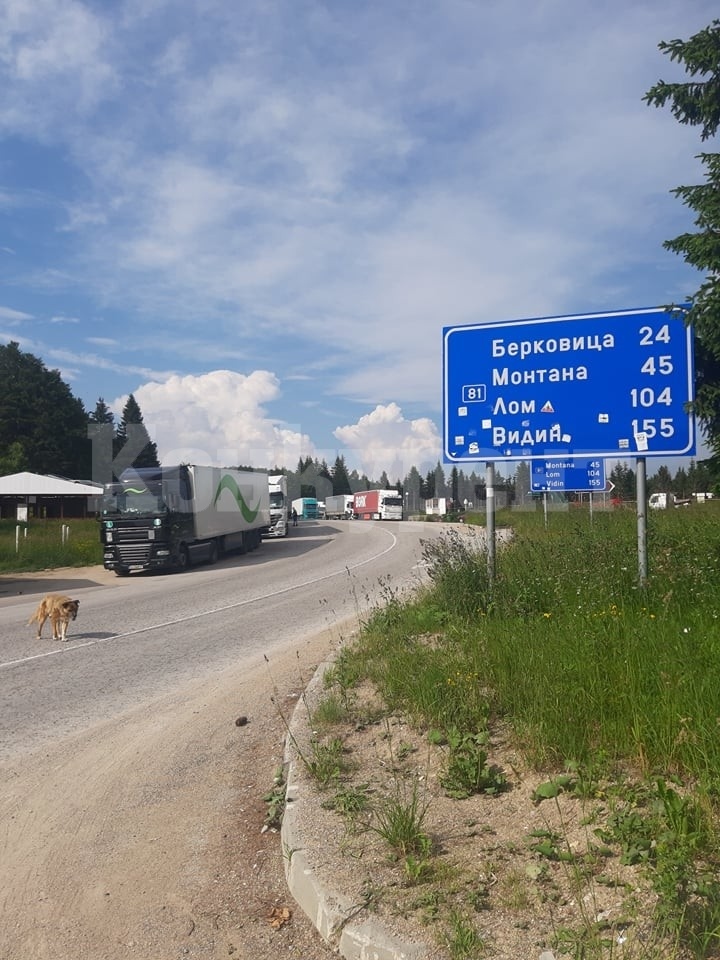 Дъждът отложи пускането на ТИР-овете през Петрохан