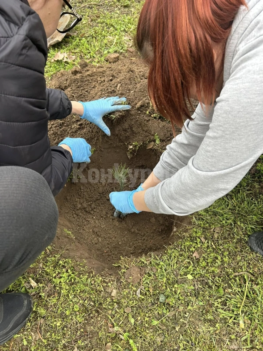 Засадиха дръвчета в парка в Бутан