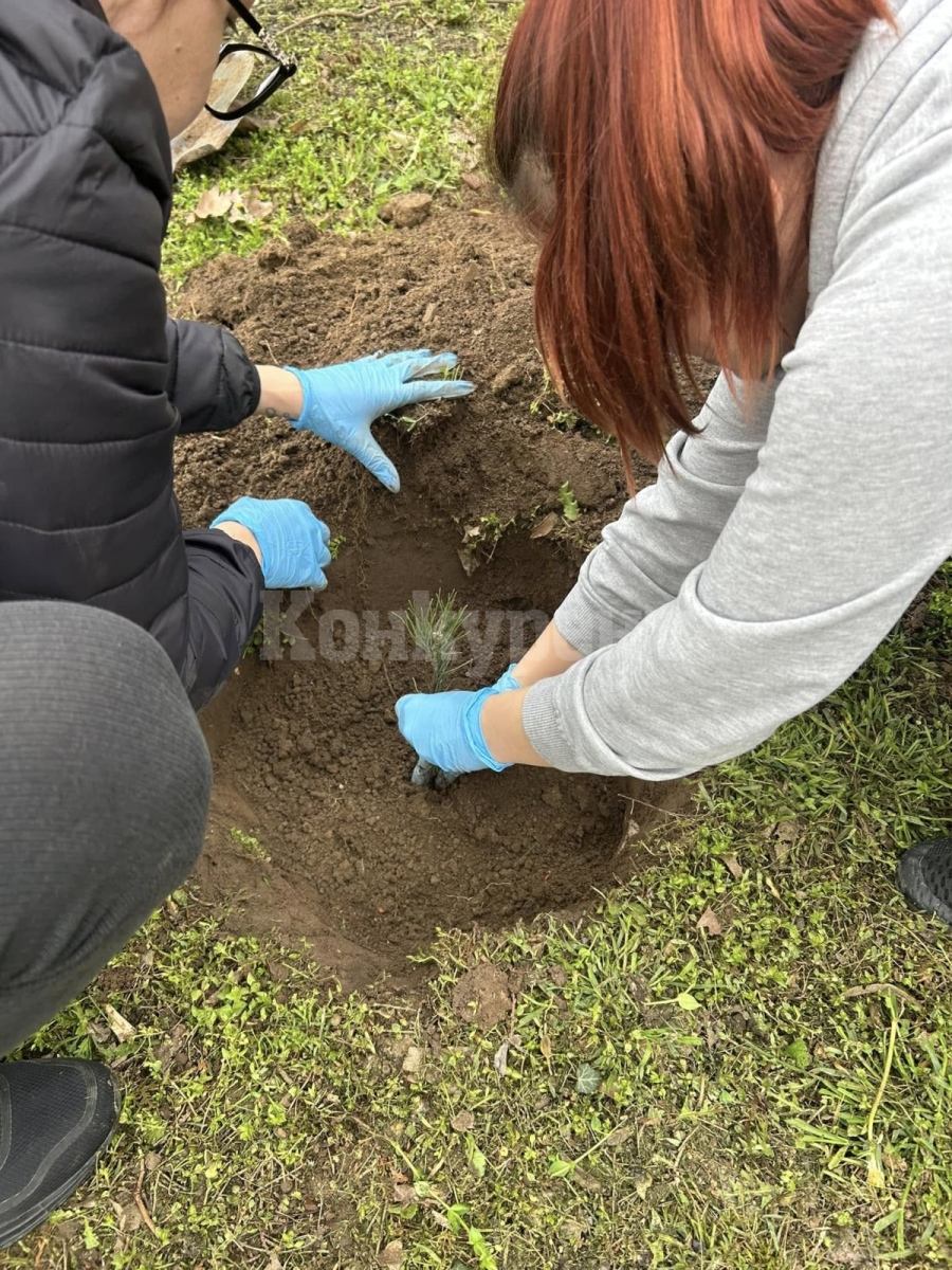 Засадиха дръвчета в парка в Бутан