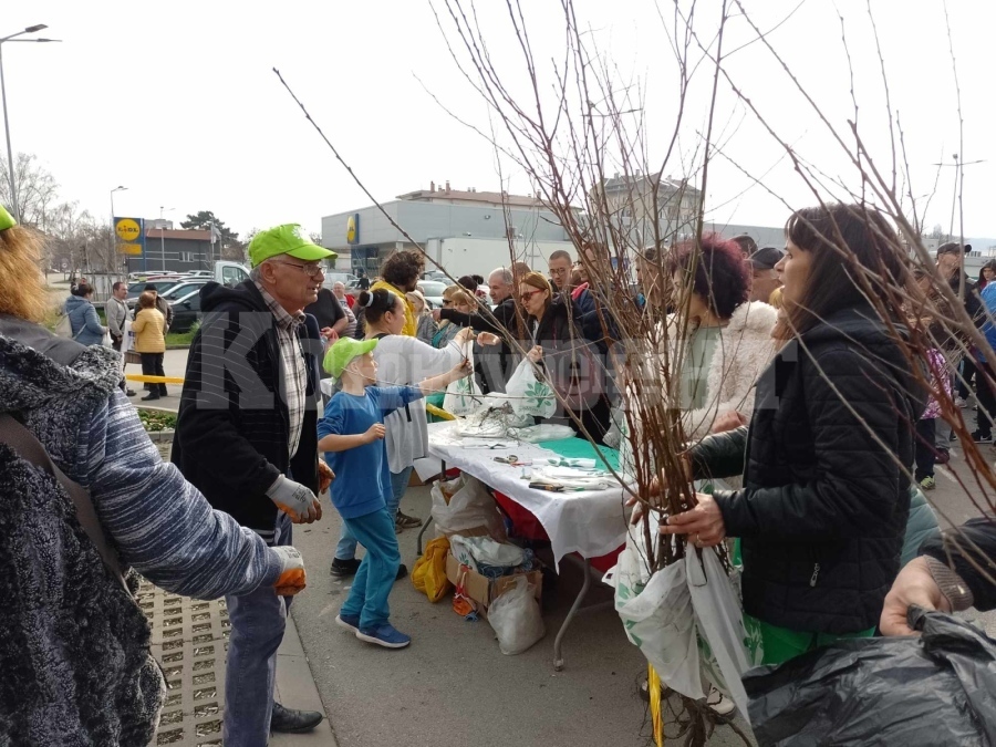 15 000 фиданки подарява Гората.бг на Монтана