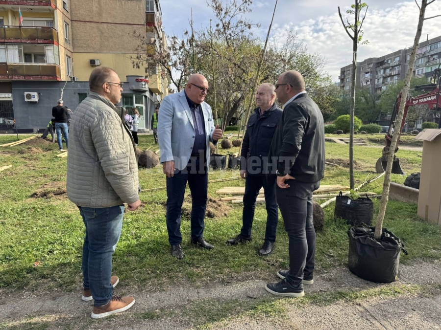 Във Видин садят 1000 дървета и 6000 храста
