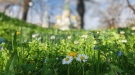 Времето в събота: Слънчево и почти лятно