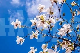Днес ще бъде предимно слънчево
