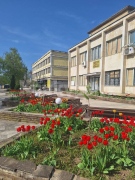 Реновират парковата зона в Софрониево