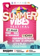 Видин посреща Деня на детето със  Summer Vibes Festival 