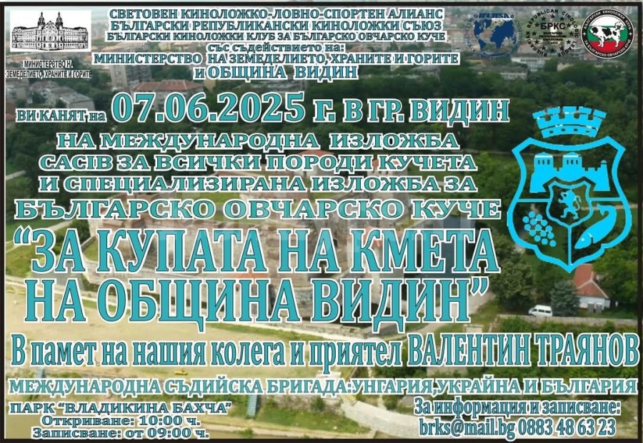 Международна киноложка изложба във Видин