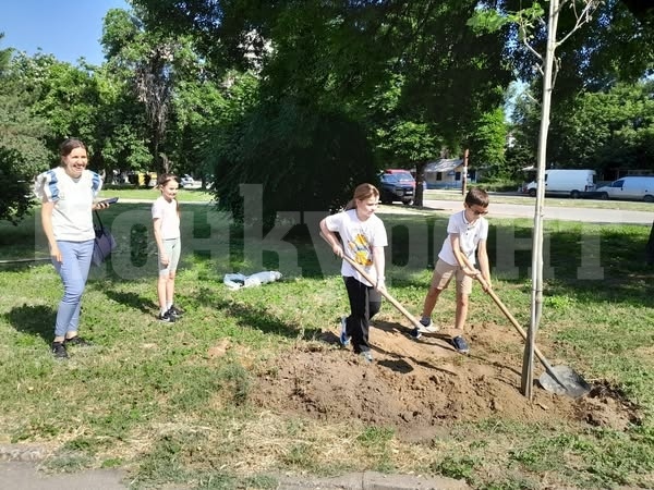 По случай Световния ден на околната среда община Видин засади 10 чинара в парк „Владикина Бахча“