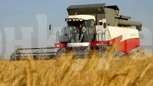 Началото на тазгодишната жътвена кампания ще бъде на 17 юни във Видинско