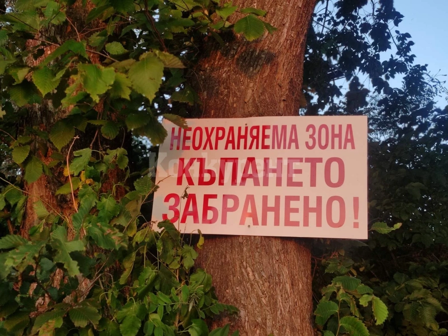 Жегите почнаха, къпането в Дунав е забранено, но табелите не спират хората