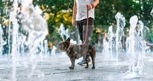 Опасно горещо време ни очаква