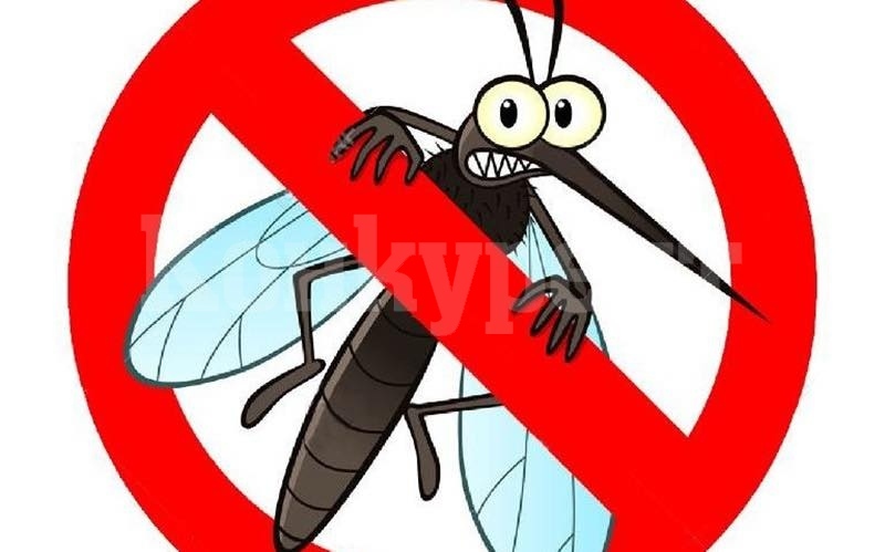 В Мизия пръскат срещу комари днес и утре