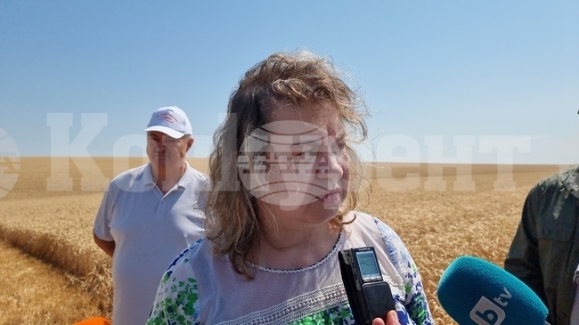 Наталия Киселова:Всяка седмица се приема поне по един закон, свързан с Плана за възстановяване и устойчивост