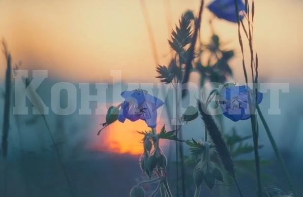 Ето какво ще е времето във вторник