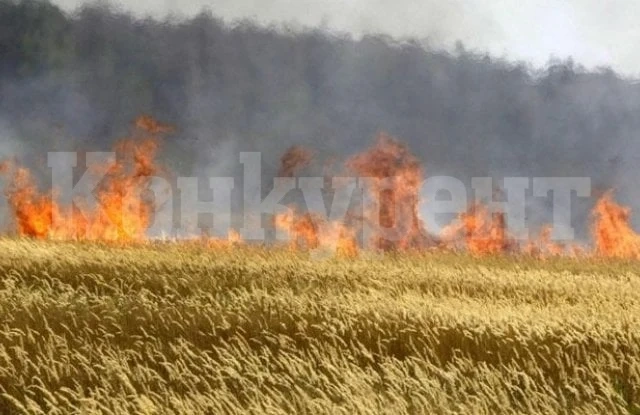 Почнаха пожарите, пламна житна нива