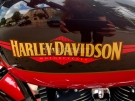 Рокери с Harley-Davidson от цяла Европа се събраха в Белоградчик