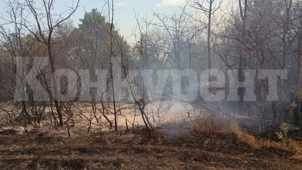 Огромен пожар бушува между селата Граничак и Дъбравка, необходими са доброволци