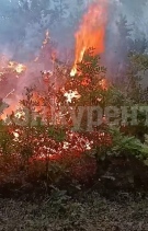 ОБНОВЕНА Голям пожар е пламнал между селата Граничак и Дъбравка, съобщиха от Община Белоградчик