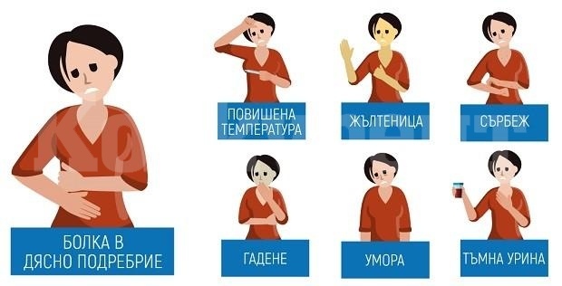 Безплатни изследвания  за хепатит в област Монтана, тръгват мобилни екипи