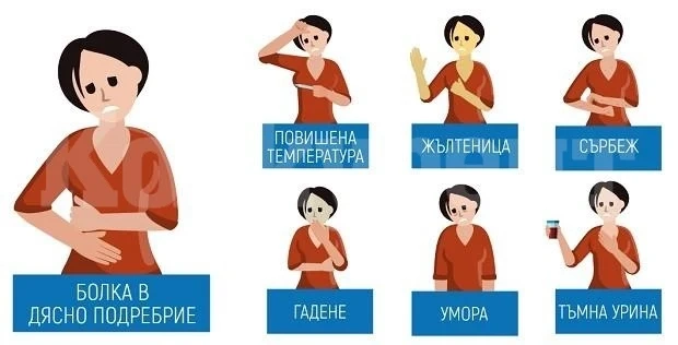 Безплатни изследвания за хепатит в област Монтана, тръгват мобилни екипи