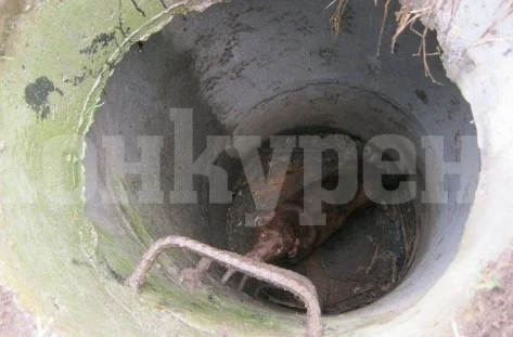 Пожарникари извадиха куче от кладенец