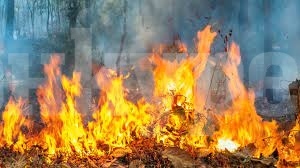 Обявиха червен код за опасност от пожари в област Враца
