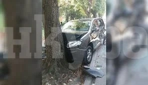 Врачанин отнесе дърво в центъра на Вършец, бил без книжка и пиян